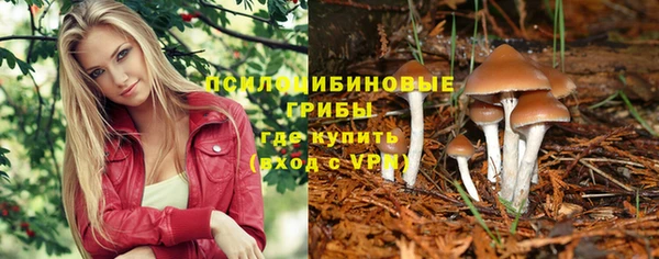 не бодяженный Верея
